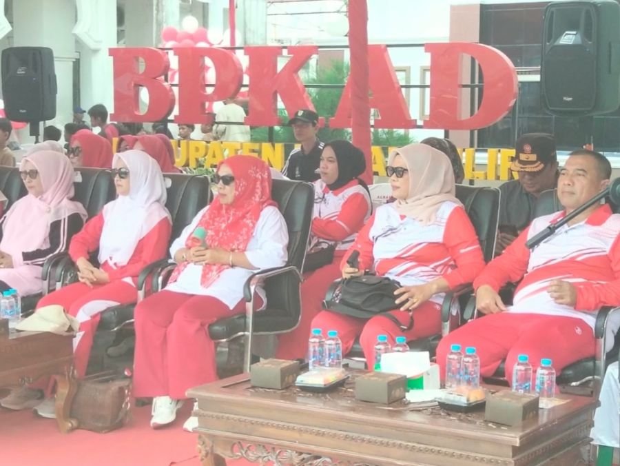 Meriahkan HUT RI ke-81, Wadanramil 01/Bangko Hadiri Pawai Karnaval di Bagansiapiapi