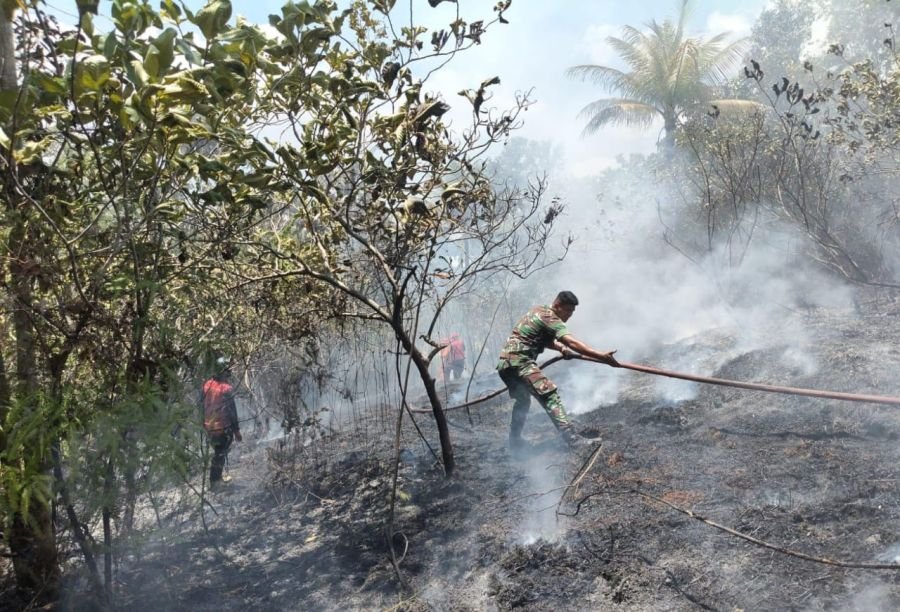 Natuna Perketat Kesiapsiagaan Karhutla, TNI Dilibatkan Antisipasi Dampak El Nino