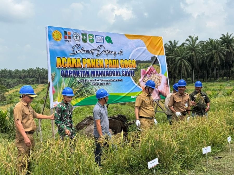 Panen Padi Bersama Warga, Yonif TP 851 BBC Perkuat Ketahanan Pangan