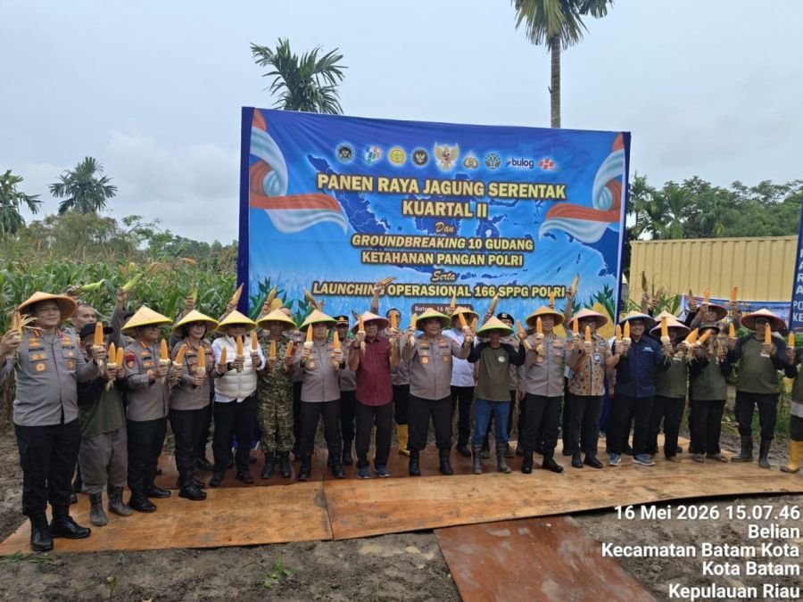 Panen Raya Jagung Batam Kota Perkuat Ketahanan Pangan Nasional