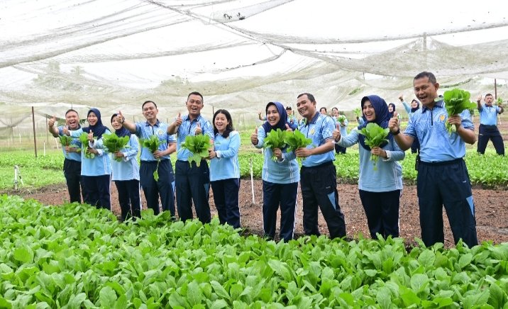 Panen Sayur di Kebun Mustang Lanud RSN: Wujudkan Kemandirian dan Ketahanan Pangan