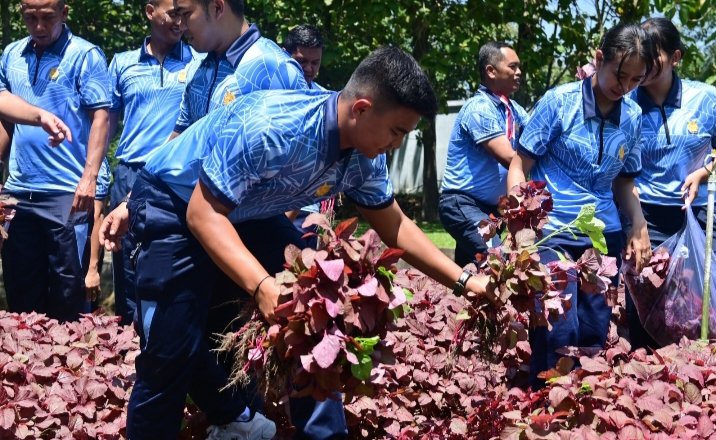 Panen Sayur Segar di Taman I Love RSN, Wujud Kepedulian Lanud RSN pada Ketahanan Pangan