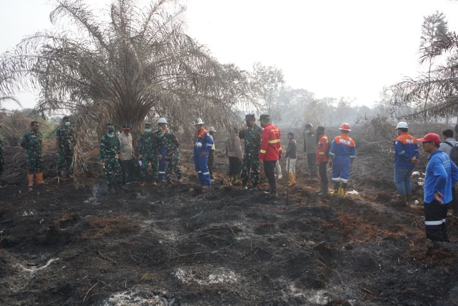 PANGDAM XIX/TT DAN KAPOLDA RIAU TINJAU LOKASI KARHUTLA DI DAYUN, DANDIM 0322/SIAK TURUT MENDAMPINGI