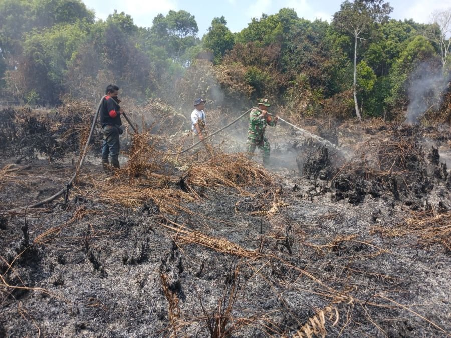 Pantang Menyerah, Babinsa Koramil 05/Bukit Batu Padamkan Karhutla di Lubuk Gaung