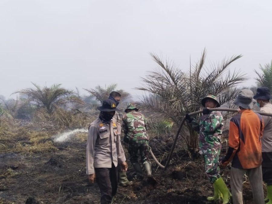 Pantang Pulang Sebelum Padam! Aksi Personel Gabungan Terjang Medan Ekstrem Demi Jinakkan Api di Sung
