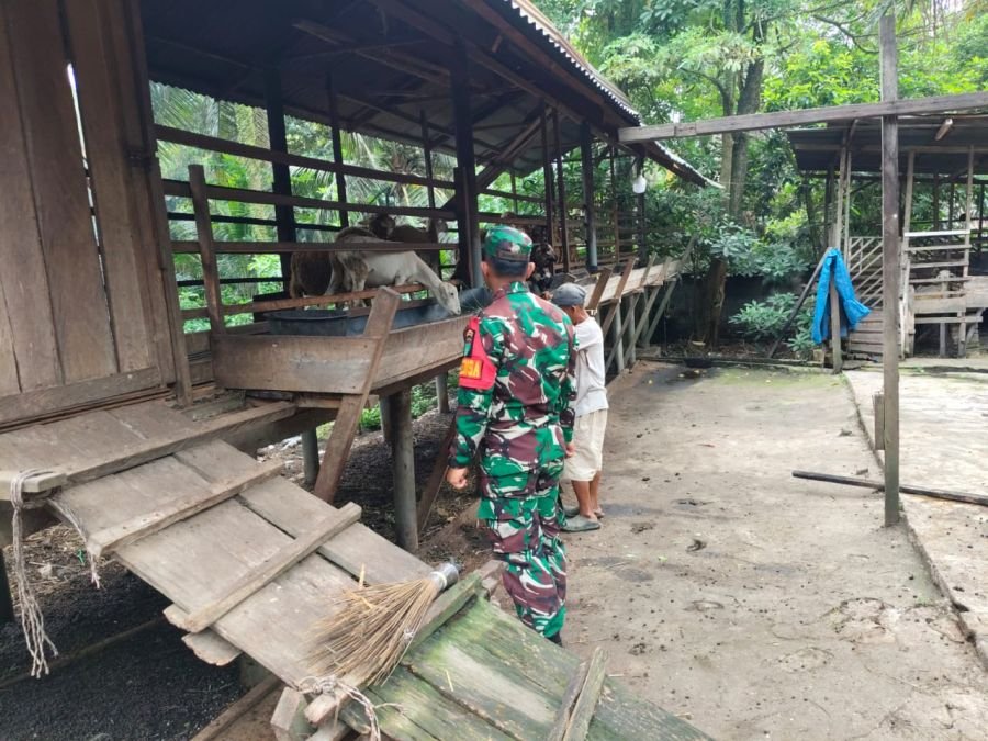 Pantau Peternakan Warga, Babinsa Koramil 05/Rimba Melintang Sambangi Bangko Sempurna