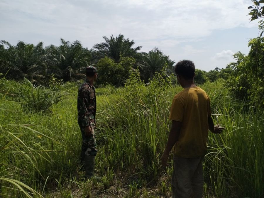 Patroli Babinsa Koramil 04 Kubu di Sungai Daun Pastikan Karhutla Nihil