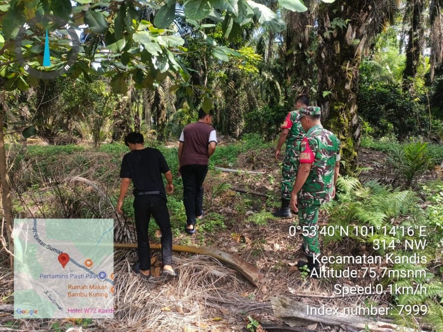 Patroli Babinsa Perketat Pengawasan Karhutla di Simpang Belutu