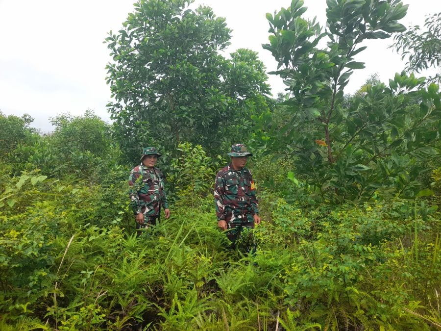 Patroli Berkelanjutan: Babinsa Koramil 03/Mandau Kawal Wilayah Desa Petani Bebas Karhutla