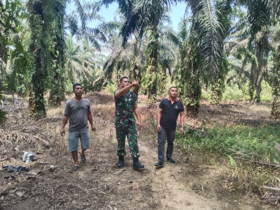 Patroli Bersama Babinsa Koramil 04/Perawang Perkuat Antisipasi Karhutla di Tualang Timur