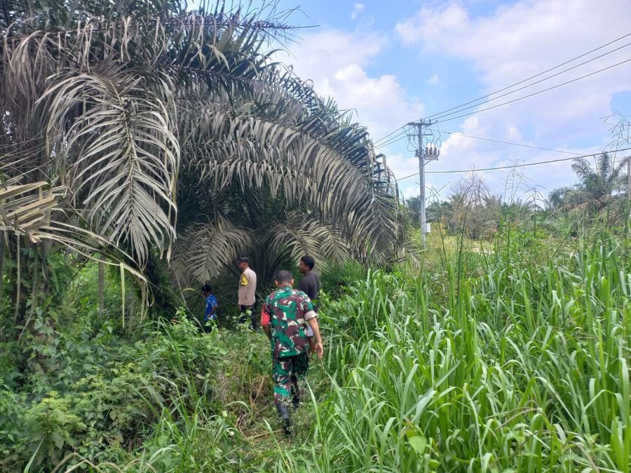 Patroli Bersama Jadi Langkah Babinsa dan Warga Cegah Karhutla di Kp Maredan