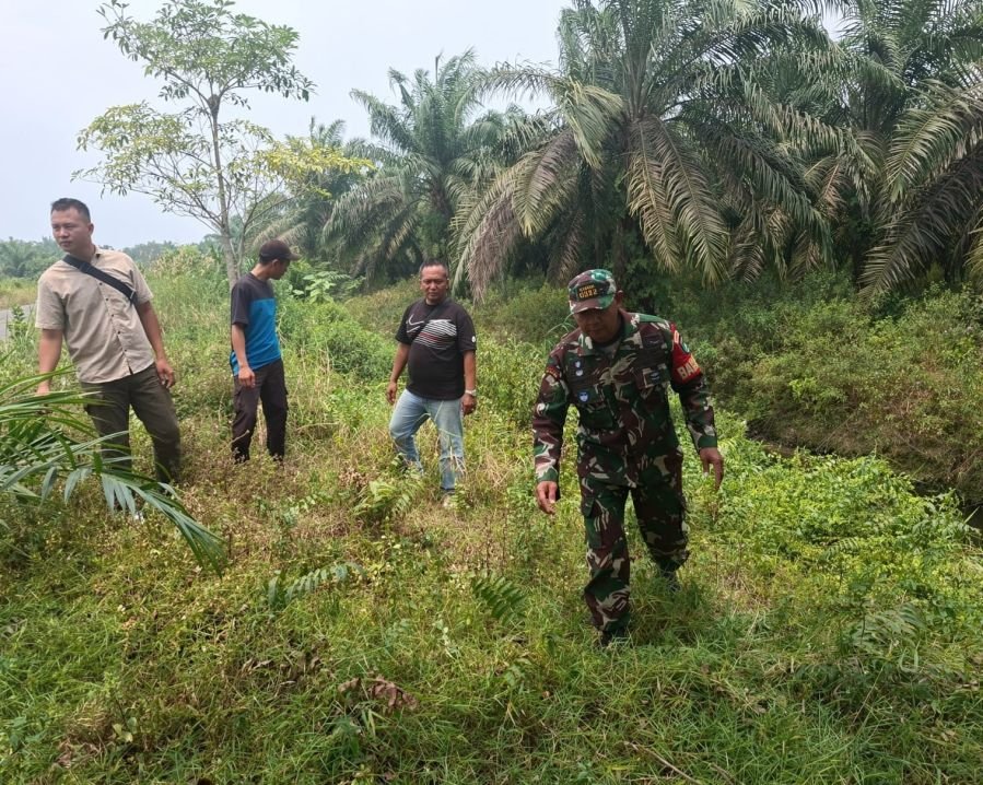 Patroli Bersama, Sertu Sarju Babinsa Koramil 04/Perawang Perkuat Pencegahan Karhutla di Tualang