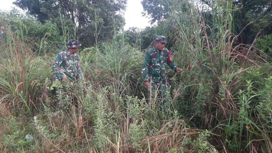 Patroli Cegah Karhutla, Babinsa Koramil 03/Mandau Turun ke Desa Petani