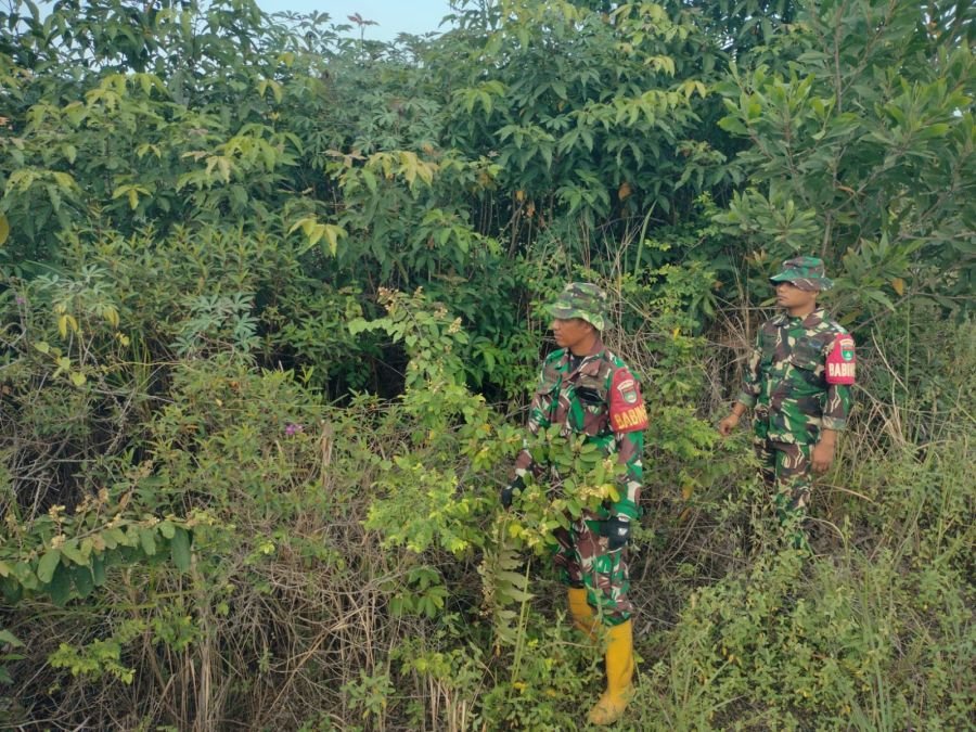 Patroli Cegah Karhutla, Sertu Handoko dan Praka LK Sinaga Awasi Wilayah Desa Petani