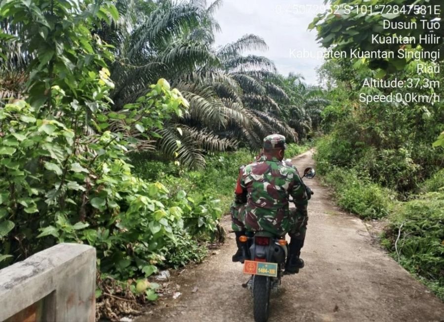 Patroli Cegah Karhutla Terus dilaksanakan Babinsa Ramil 07/KH diwilayah Rawan