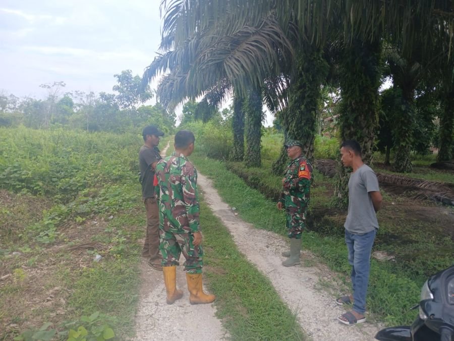 Patroli dan Sosialisasi, Babinsa Koramil 07/Kampar Jadi Benteng Awal Pencegahan Karhutla