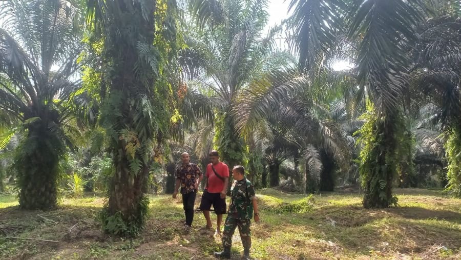 Patroli Gabungan Babinsa Koramil 04/Perawang dan Warga Perkuat Pencegahan Karhutla di Maredan