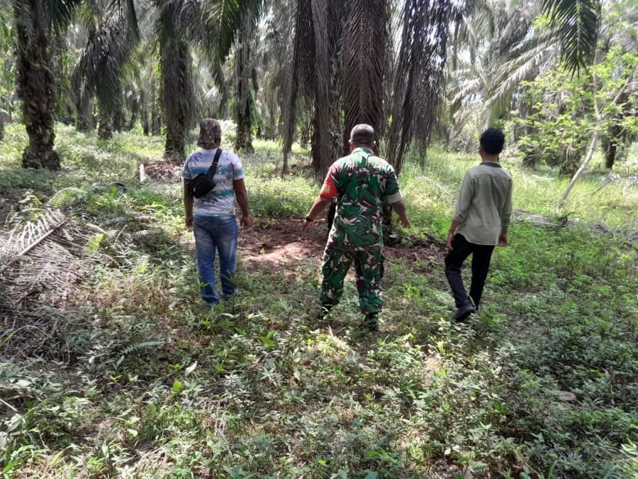 Patroli Gabungan Babinsa-Warga Perketat Pengawasan Karhutla di Wilayah Kp Perawang Barat