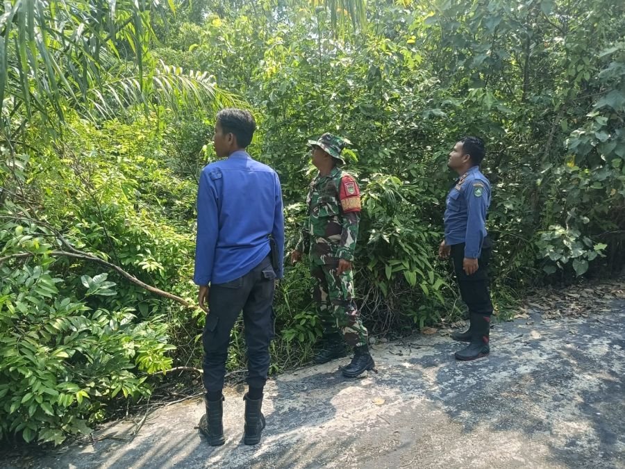 Patroli Gabungan Deteksi Dini Ancaman Karhutla di Pangkalan Nyirih