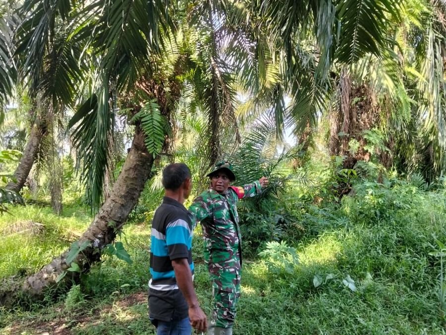 Patroli Karhutla Akhir Pekan, Babinsa Muara Fajar Barat Pastikan Wilayah Aman dari Titik Api