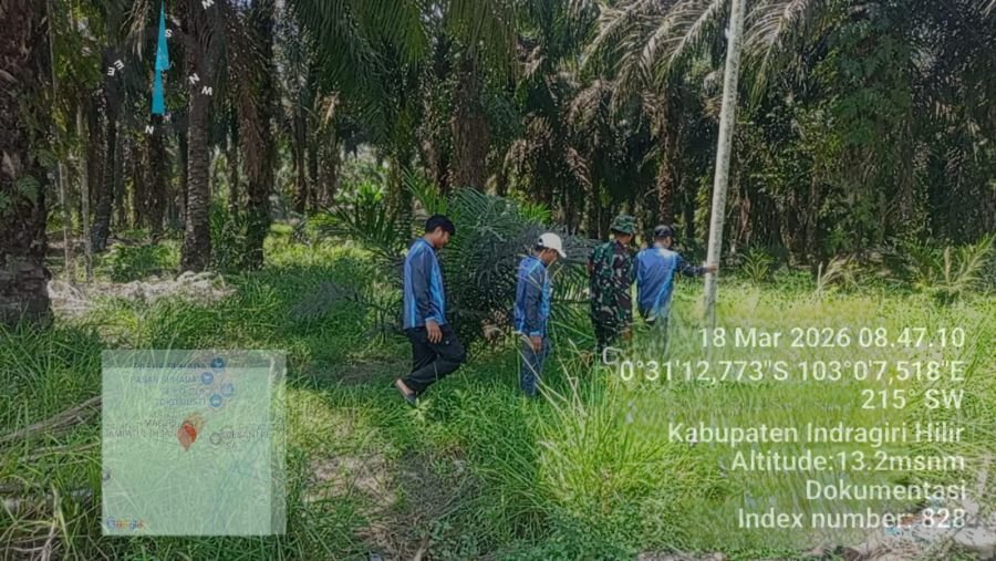 Patroli Karhutla Babinsa Bagan Jaya Nihil Titik Api dan Asap