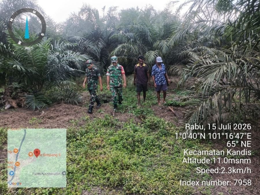 Patroli Karhutla Babinsa Cegah Ancaman Kebakaran Lahan