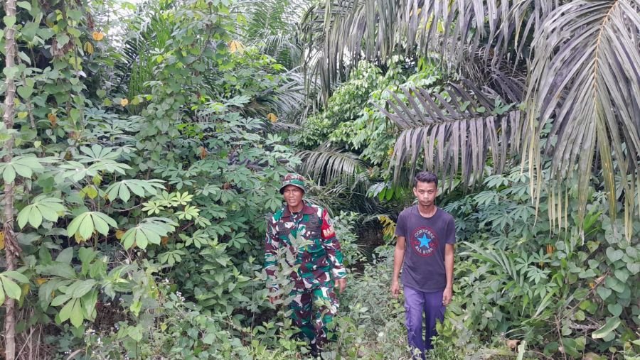 Patroli Karhutla Babinsa di Rumbai Barat, Wilayah Muara Fajar Timur Nihil Titik Api