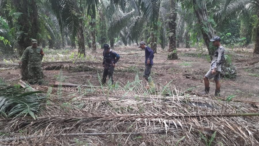 Patroli Karhutla, Babinsa Koramil 05/Bukit Batu Ingatkan Petani Cegah Kebakaran