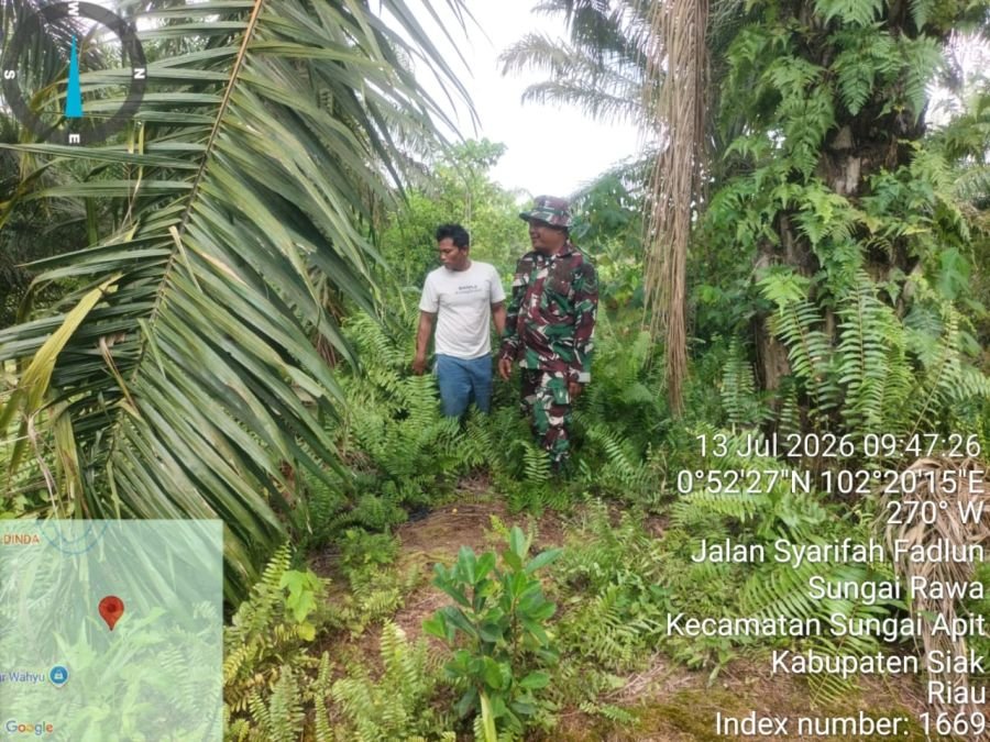 Patroli Karhutla Babinsa Koramil 02/SA Pastikan Wilayah Sungai Rawa Bebas Titik Api