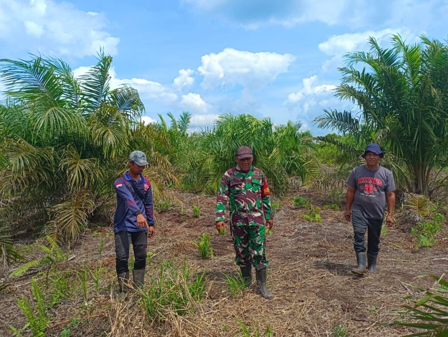 Patroli Karhutla, Babinsa Koramil 05/Bukit Batu Ingatkan Warga Waspadai Kebakaran