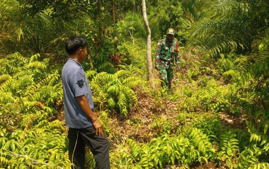 Patroli Karhutla Babinsa Koramil 06/Merbau, Pastikan Wilayah Mekar Sari Aman dari Kebakaran