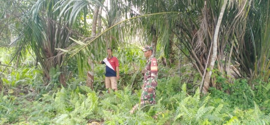 Patroli Karhutla Babinsa Koramil 06/Merbau di Desa Lukit, Warga Diimbau Tidak Membakar Lahan