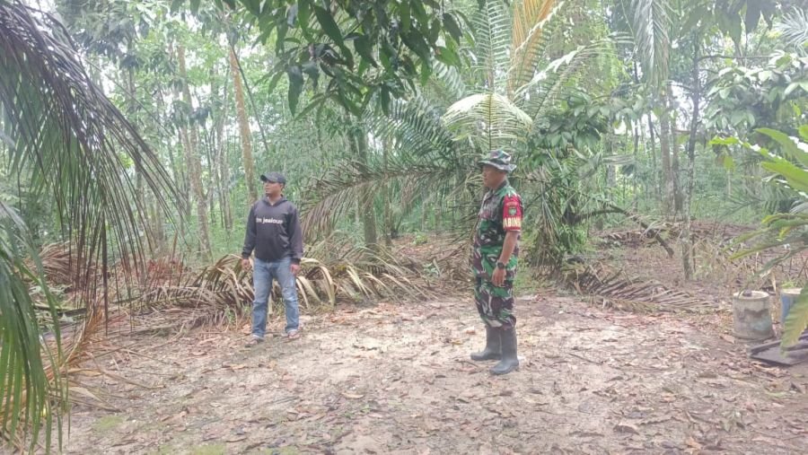 Patroli Karhutla, Babinsa Koramil 07/TR Himbau Warga Jangan Bakar Lahan