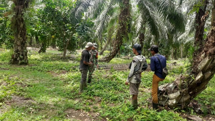 Patroli Karhutla, Babinsa Koramil 05/Bukit Batu Sisir Titik Rawan di Sepotong