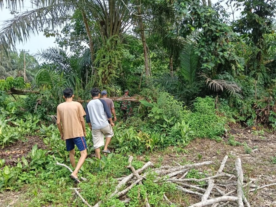 Patroli Karhutla Babinsa Minas Pastikan Bencah Umbai Tetap Aman