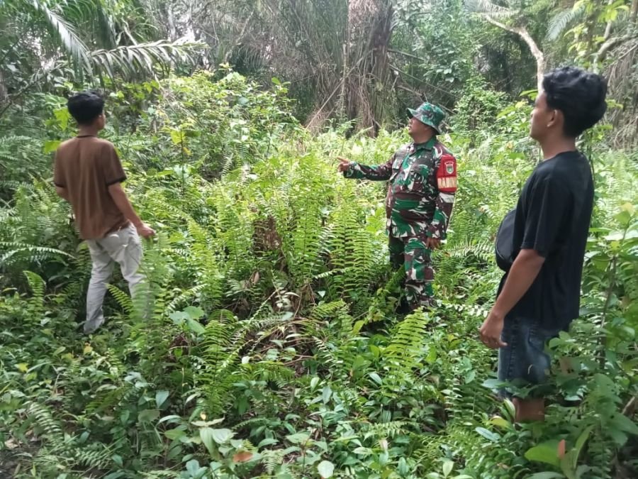 Patroli Karhutla Babinsa Perketat Pengawasan Lahan di Darul Aman