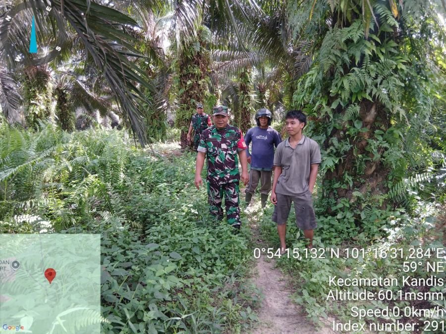Patroli Karhutla Babinsa Perketat Pengawasan Wilayah Sam Sam