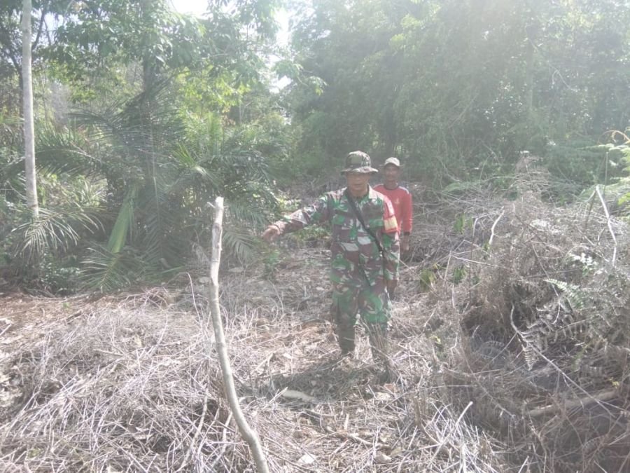 Patroli Karhutla Babinsa Sri Tanjung Perketat Pengawasan Titik Rawan