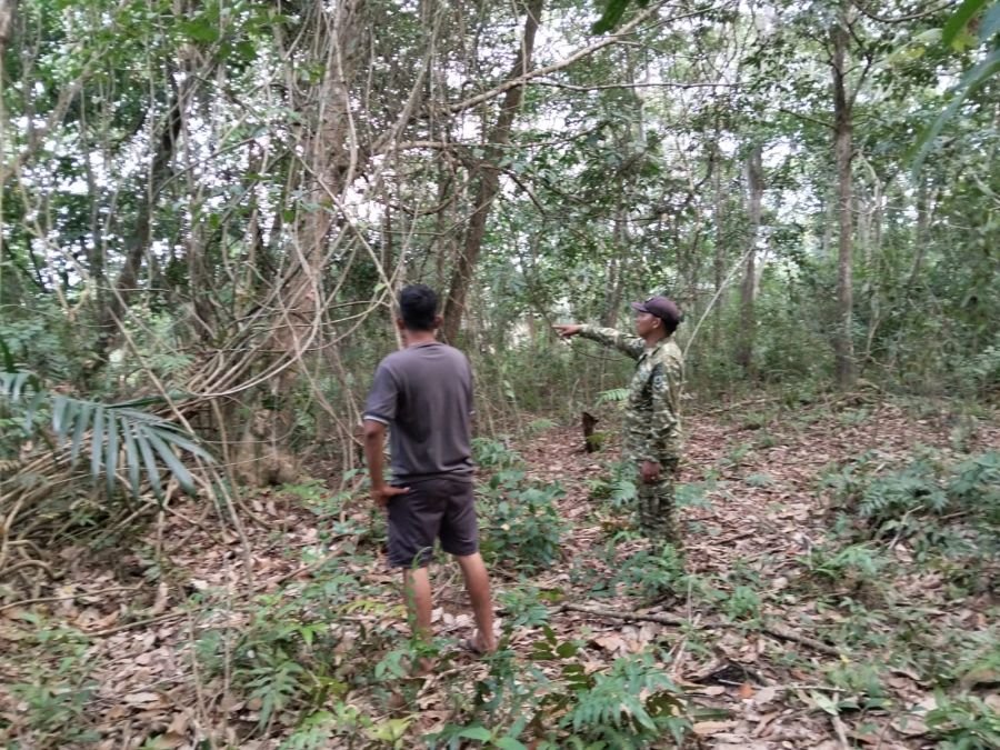 Patroli Karhutla, Babinsa Tanjung Leban Pastikan Wilayah Tetap Aman dari Titik Api