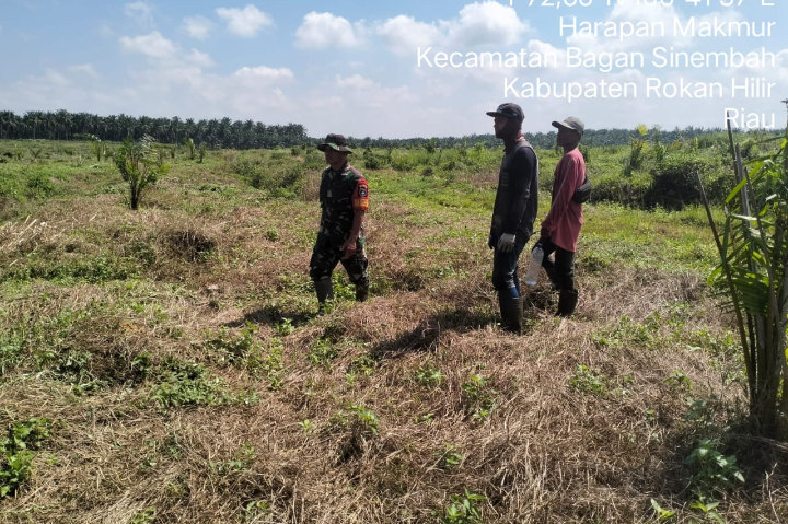Patroli Karhutla di Akhir Pekan, Babinsa Koramil 0321-03/Bgs Rohil Tak Temukan Titik Api 
