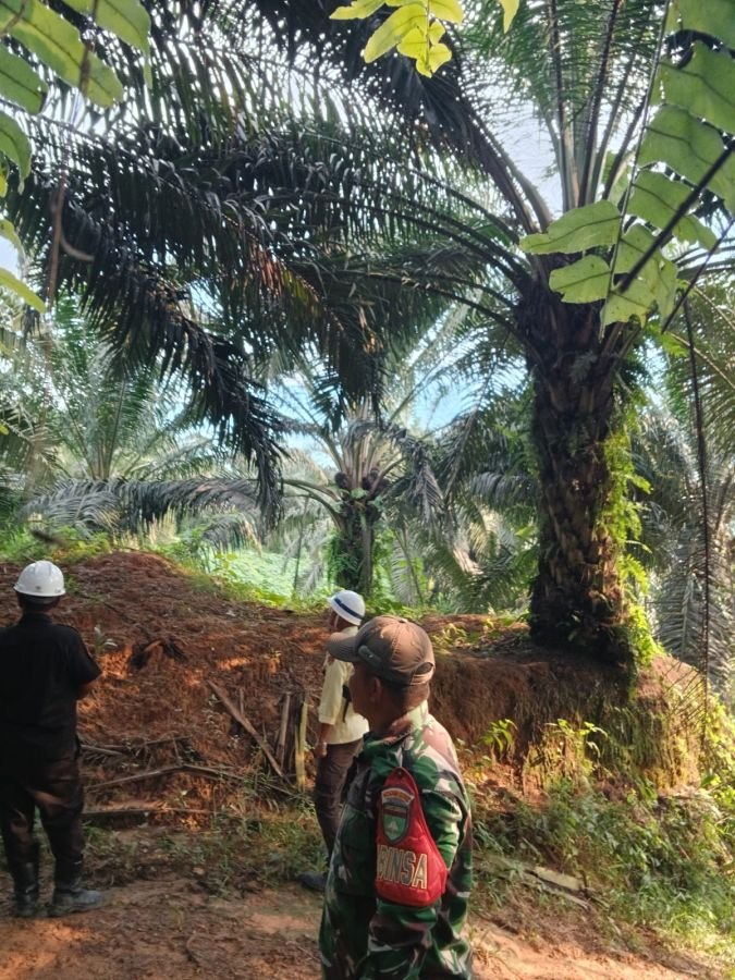 Patroli Karhutla di Areal PT GSL, Koptu Irwan Pastikan Wilayah Bebas Titik Api
