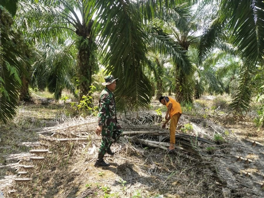 Patroli Karhutla di Dosan, Babinsa Pastikan Tak Ada Titik Api