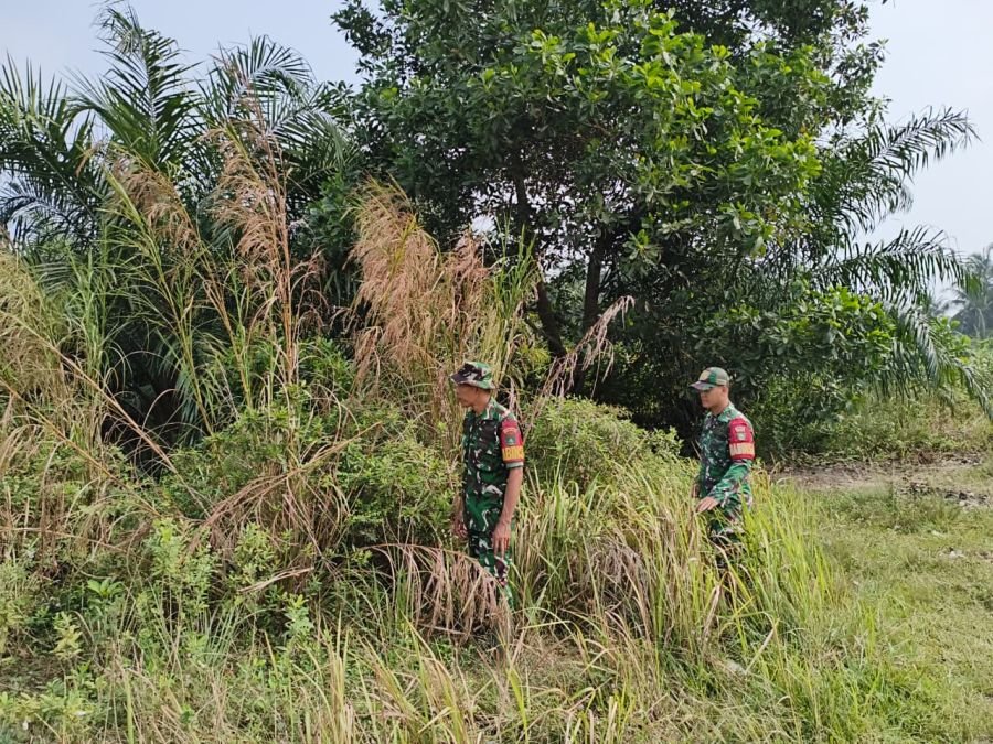 Babinsa Mandau Sisir Duri Barat, Tak Temukan Titik Api Karhutla