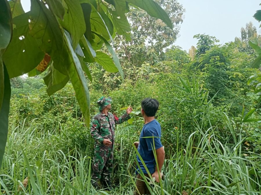 Patroli Karhutla di Hutan Panjang, Babinsa Koramil 04/Rupat Ajak Warga Jaga Lingkungan