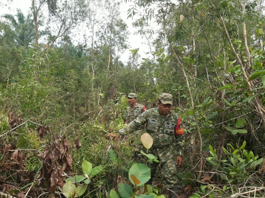 PATROLI KARHUTLA DI JALAN RANGAU, DESA PETANI, WILAYAH DIPASTIKAN AMAN