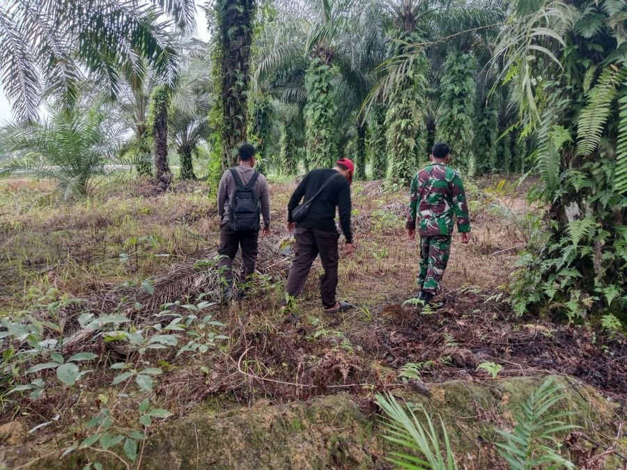 Patroli Karhutla di Minas Nihil Api, Babinsa Pastikan Titik Rawan Aman