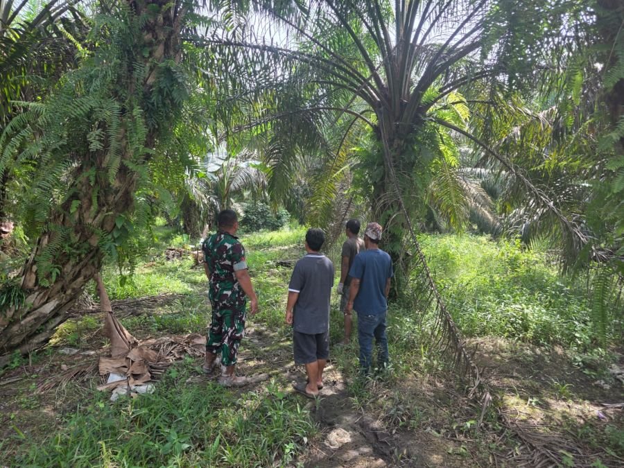 Patroli Karhutla di Minas Nihil Api, Babinsa Sisir Wilayah Rawan