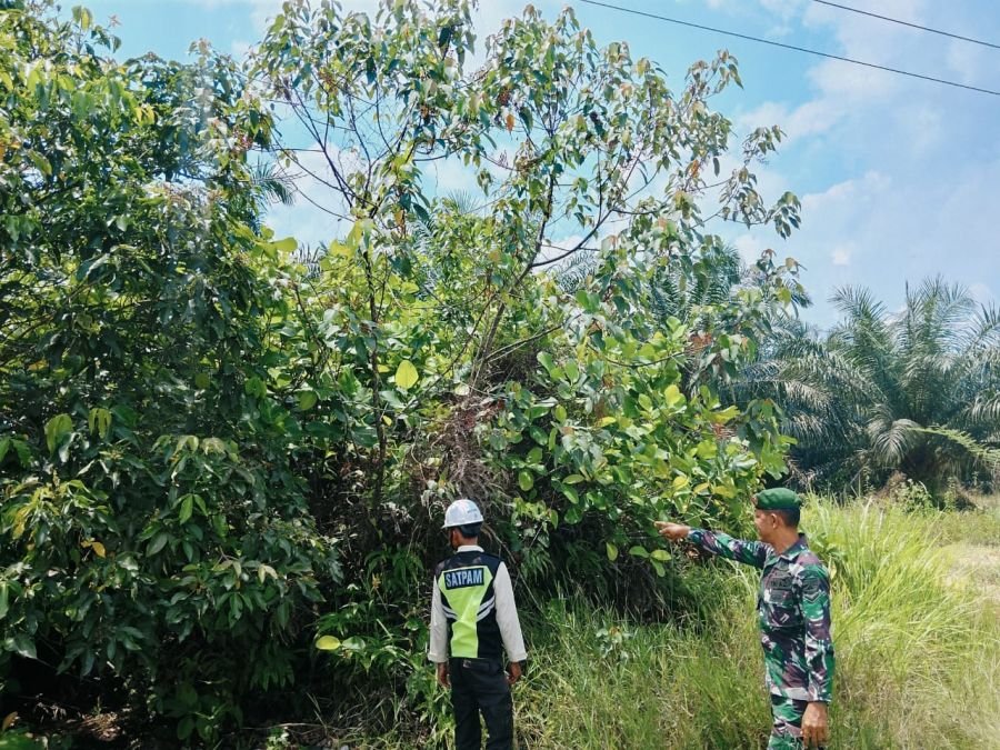Patroli Karhutla di Minas Tak Temukan Titik Api, Situasi Terkendali