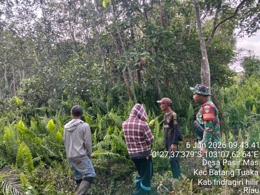 Patroli Karhutla di Pasir Mas, Babinsa Pastikan Wilayah Aman