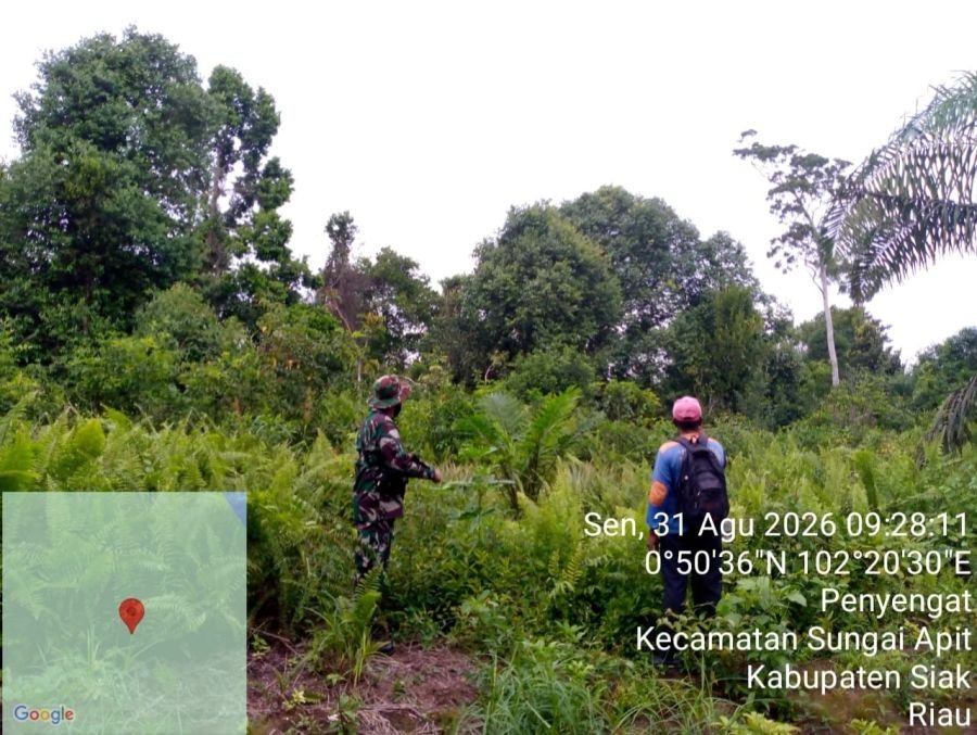 Patroli Karhutla di Penyengat, Babinsa Pastikan Tidak Ada Titik Api